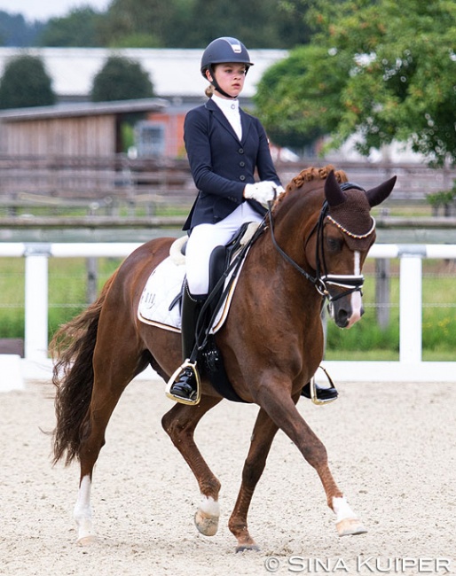 Antonia Roth is the new comer on the German pony. She will ride Daily Pleasure, who last year won team bronze at the 2019 Europeans under Antonia Busch-Kuffner :: Photo © Sina Kuiper