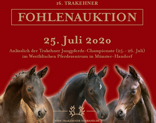 16th Trakehner Foal Auction now in a Hybrid format with a live, phone and online bidding