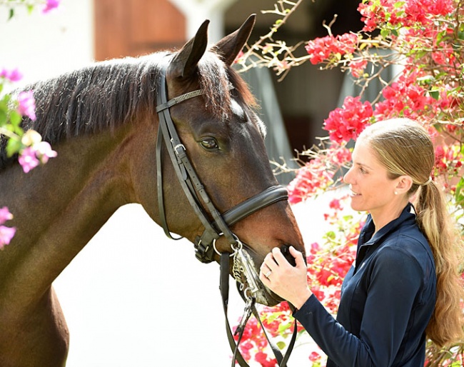 From the same dam line as auction candidate Francesco de Medici: US-Champion Folkestone OLD with Christina Vinios