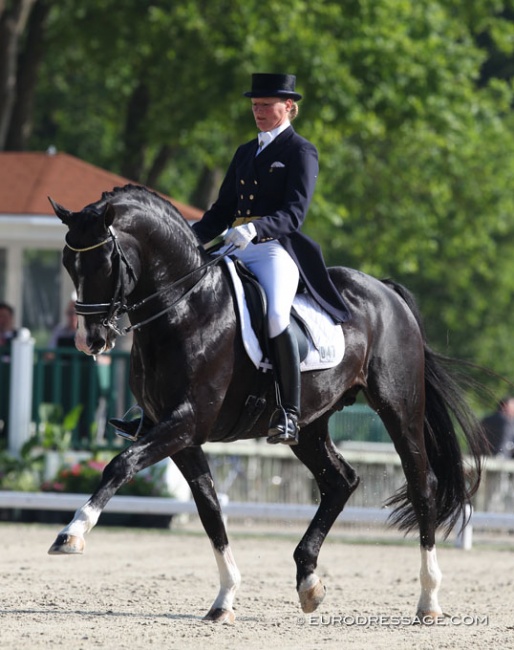 Karen Nijvelt and Maestro at the 2012 CDI Compiegne :: Photo © Astrid Appels