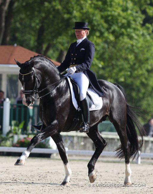 Karen Nijvelt and Maestro at the 2012 CDI Compiegne :: Photo © Astrid Appels