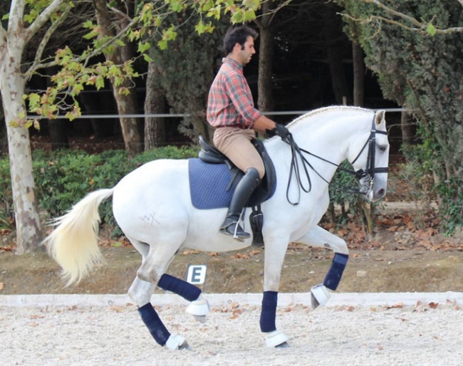 Ricardo Moura Tavares and Baluarte da Broa in 2015 :: Photo © private