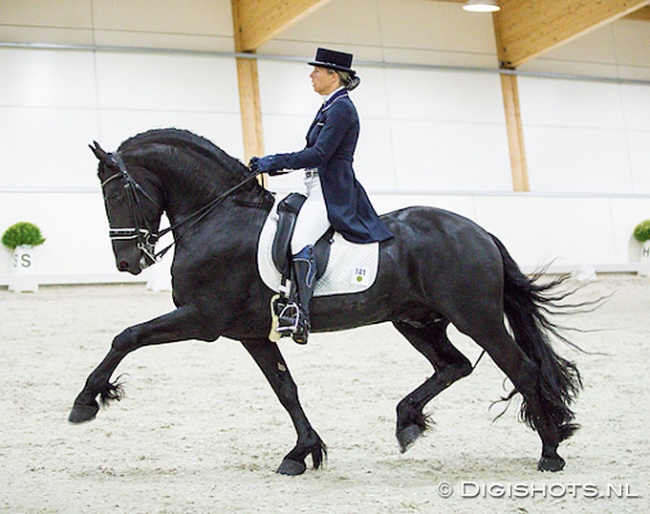 Patricia Mannaerts and Doeke fan Beritsum at the 2018 European Friesian Championships :: Photo © Digishots
