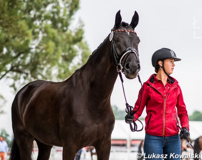 Lia Welschof and First Class at the horse inspection for the 2020 European Young Riders Championships in Budapest :: Photo © Lukasz Kowalski