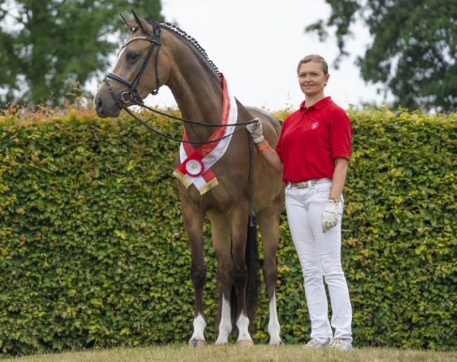 Breeder, owner and rider Danica Duen with the 2020 Westfalian Pony Champion mare Herzrose D :: Photo © Reckimedia