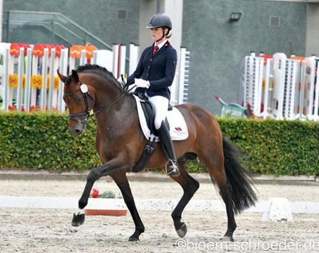 Anna Weilert and Dante's Stern at the Bundeschampionate qualifier in Neustadt/Dosse :: Photo © Bjorn Schroeder