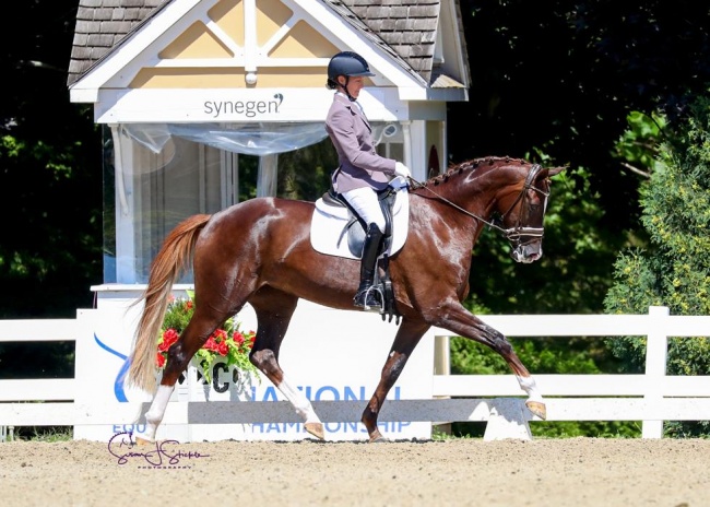 Alice Tarjan and Gjenganger at the 2020 U.S. Young Horse Championships :: Photo © Sue Stickle