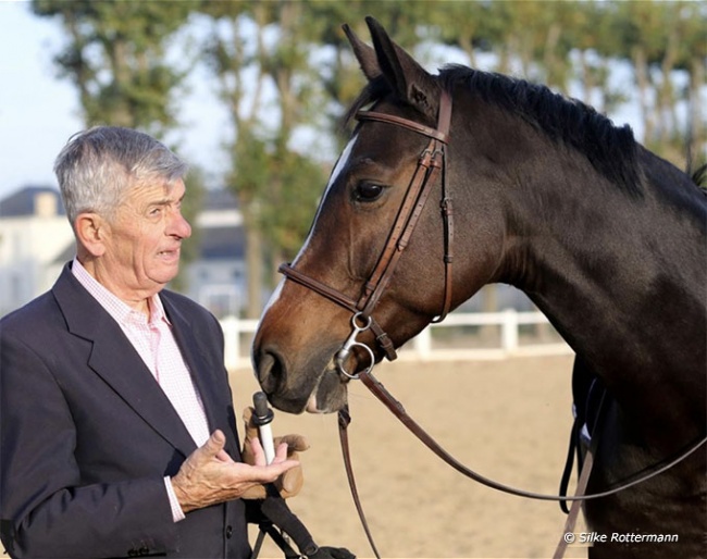 Christian Carde retrains the Oldenburg mare Milady (by De Niro x Feiner Stern) to the principles of classical dressage :: Photo © Silke Rottermann