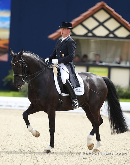 Hermann Burger and Sergio in the Developing Grand Prix test for the Louisdor Cup at the 2018 CDN Hagen :: Photo © Astrid Appels