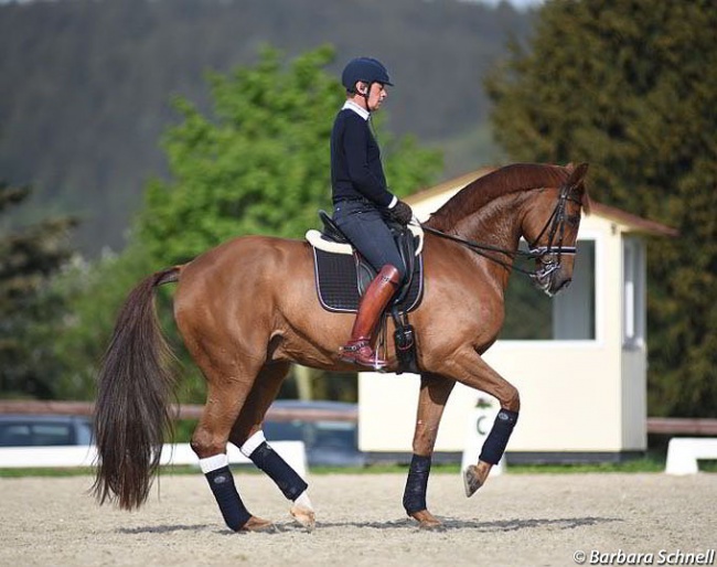 Emile Faurie on 2018 WEG British Team bronze medal winner Dono di Maggio :: Photo © Barbara Schnell