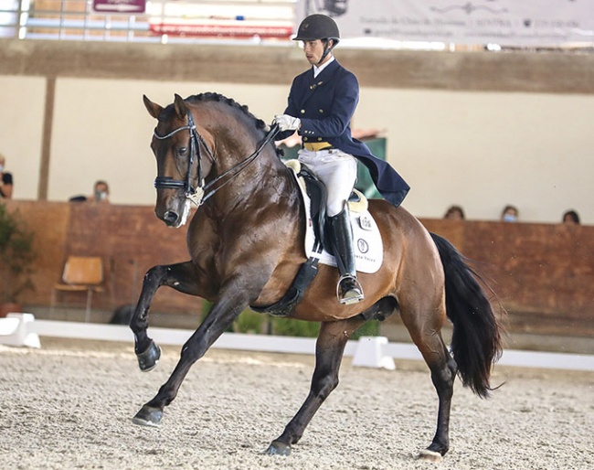 Joao Miguel Torrao and Equador MVL at the 2020 CDI Beloura in Portugal :: Photo © ABR Photography