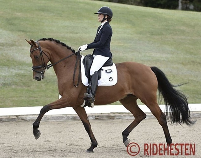 Crown Princess Mary and Edelman at 2020 CDN Frederiksværk :: Photo © Ridehesten
