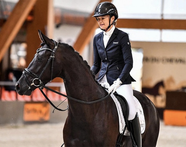 Harpège Grez Neuville (by Danciano x Gribaldi) became the 3-year old French Mare Champion under Jessica Michel-Botton :: Photo © Les Gareness