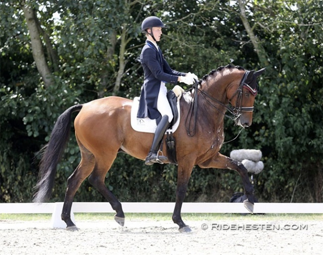 Anders Hoeck on Blue Hors Zwobber at the 2020 Danish Junior/Young Riders Championships in Ringsted :: Photo © Ridehesten