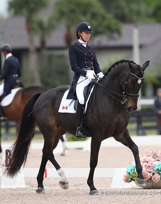 Shannon Dueck and As You Wish at the 2020 CDN Wellington :: Photo © Astrid Appels