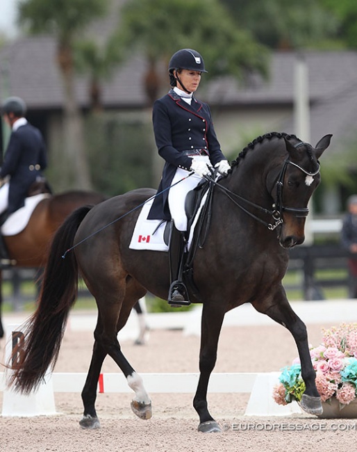 Shannon Dueck and As You Wish at the 2020 CDN Wellington :: Photo © Astrid Appels