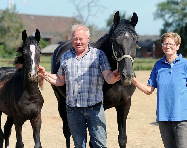 Highly decorated Westfalian horse and pony breeder Alfons Baumann is holding a Yard Auction on 12 September 2020 :: Photo © Thoms Lehmann