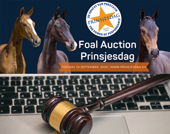 2020 Foal Auction Prinsjesdag