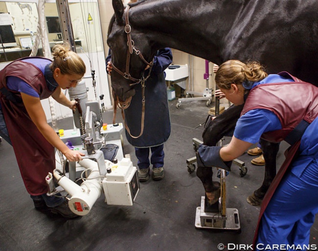 A pre-purchase exam with X-rays by an independent vet that is not connected to a horse seller is proper practice in horse trade :: Photo © Dirk Caremans