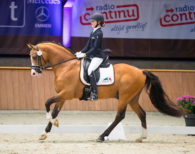 Micky Schelstraete and Cappucino Royale G at the 2017 CDI Exloo :: Photo © Digishots