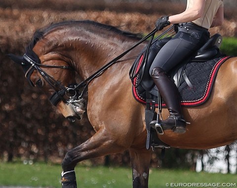 An example of rollkur/hyperflexion at the 2018 CDI Aachen :: Photo © Astrid Appels