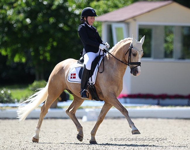 Thilde Trude Hare and Morgensterns Dakar at the 2019 CDIO-P Hagen :: Photo © Astrid Appels