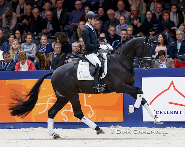 Bart Veeze and Kardieno in a stallion show at the 2019 KWPN Stallion Licensing :: Photo © Dirk Caremans