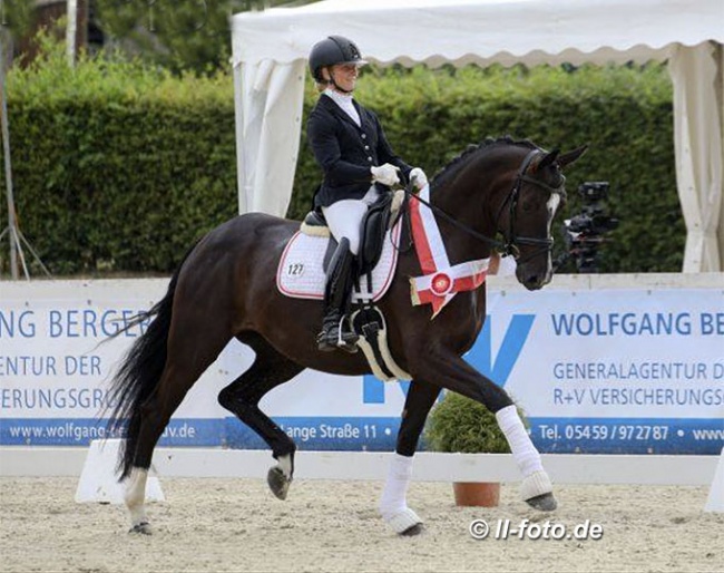 Wibke Hartmann-Stommel and Dark Diamond HM at the 2019 Westfalian Young Horse Championships :: Photo © LL-foto