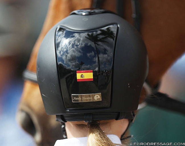 Palm Trees of the Wellington show arena reflected in helmet :: Photo © Astrid Appels
