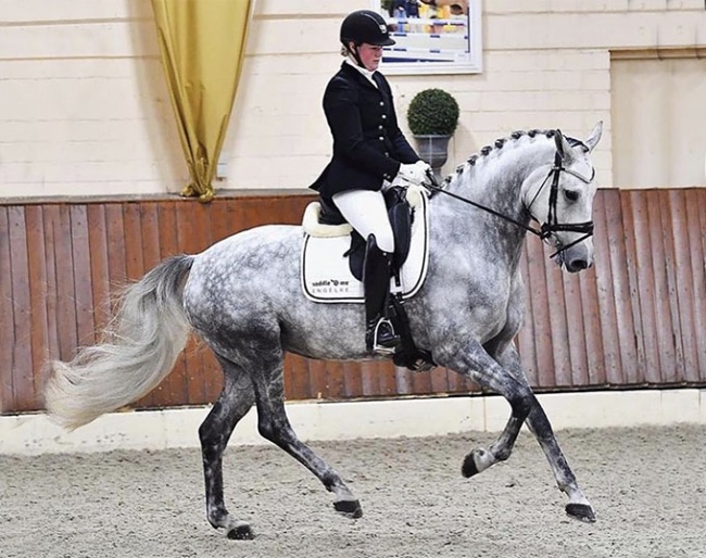 Malin Wahlkamp-Nilsson on Sorbet (by Fürstenball - Don Primero)