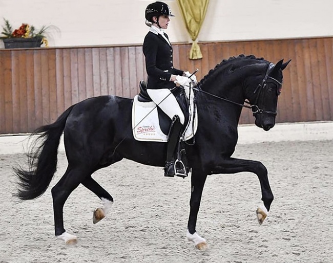 Simone Pearce and Quando Unico at the 2020 CDN Ankum on 14 October 2020