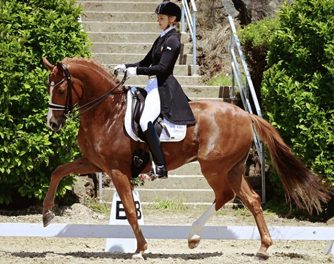 Bettina Kendlbacher on Don Alfredo :: Photo © Istvan Lehoczky
