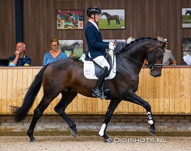 Robin van Lierop and Voyager RS2 (by Vitalis x Sir Donerhall) at the saddle presentation for the 2020 KWPN Autumn Performance Testing :: Photo © Digishots