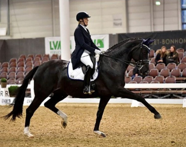 Petra Stroetmann and Daytona at the 2020 CDN Munster :: Photo © private