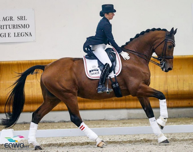 Astrid Neumayer and Zap Zap win big at the 2020 CDI Ornago :: Photo © Petra Kerschbaum