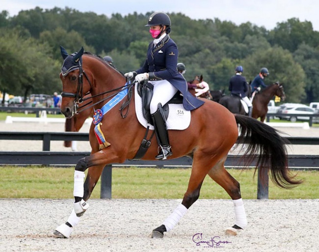 Caymus, by Sir Sinclair, Keur, GAIG/USDF Region 3 Grand Prix Champion :: Photo © Susan J Stickle