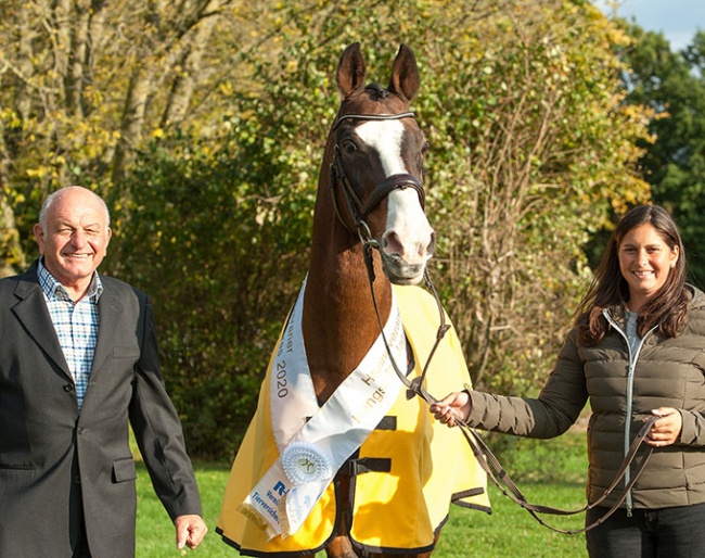 Hannoveraner Stallion of the Year 2020: Forsyth FRH with owner Holger Baum and Franziska Baum-Gundlach