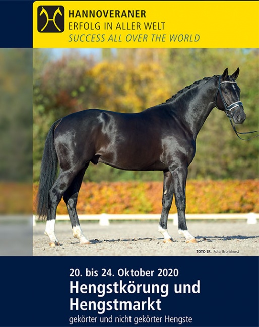Catalog for the 2020 Hanoverian Stallion Licensing