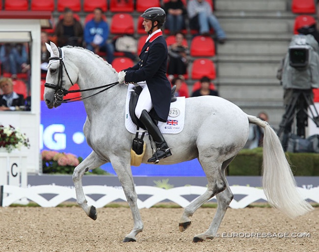 Michael Eilberg and Half Moon Delphi at the 2013 European Dressage Championships :: Photo © Astrid Appels