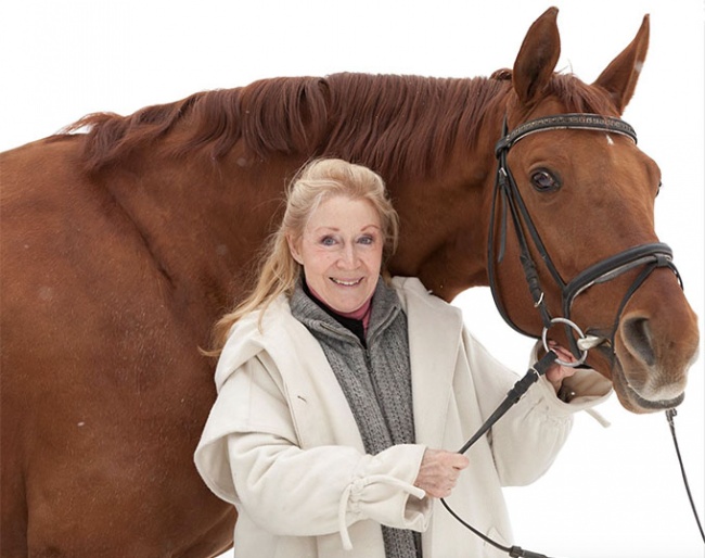 Christine Stuckelberger in December 2017, holding the 20-year old licensed Hanoverian stallion Wirbelwind (by Wolkenstein x Bolero) :: Photo © private
