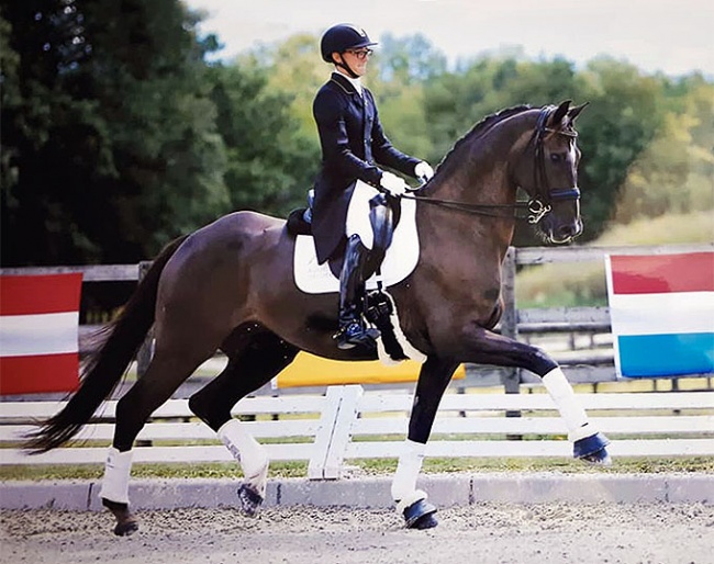 Charles Edouard Renaud and Danzig W at the 2018 CDI Crozet :: Photo © Celine Bocchino