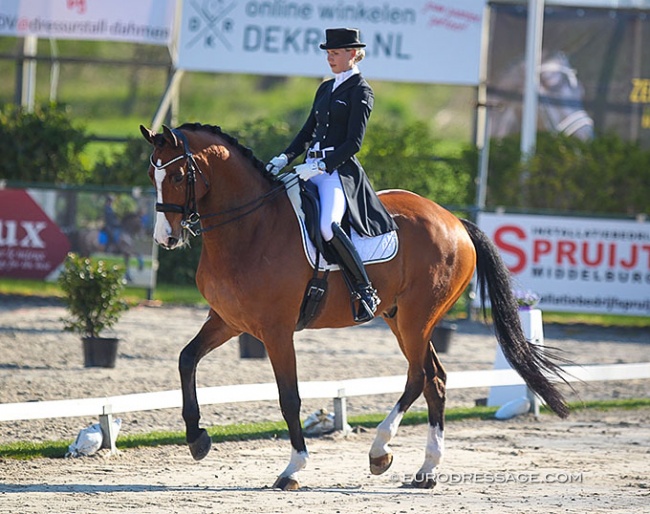 Juliane Brunkhorst and Devanto at the 2018 CDI Nieuw en St. Joosland :: Photo © Astrid Appels