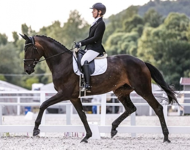 Gabriella Tecsy Papp and Barrosa Noir at the 2020 CDI Budapest-Pilisjaszfalu :: Photo © Anett Somogyvari