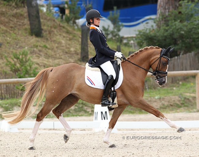 Rosalie Bos and Paso Double at the 2012 European Pony Championships :: Photo © Astrid Appels