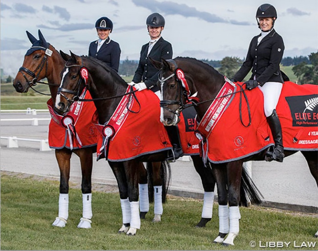 The 2020 New Zealand Young Horse Champions: NSC Furst Rock DW, Dance Hit SW, and Feuer Tanz :: Photo © Libby Law