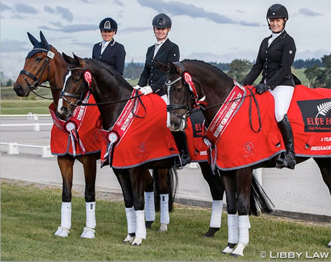 The 2020 New Zealand Young Horse Champions: NSC Furst Rock DW, Dance Hit SW, and Feuer Tanz :: Photo © Libby Law
