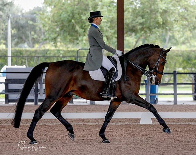 Bianca Tota and Cadento V at the 2020 CDI Wellington - Global Dressage Fall Festival I :: Photo © Sue Stickle