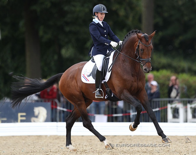 Mirelle van Kemenade-Witlox and Cachet L at the 2013 World Young Horse Championships :: Photo © Astrid Appels