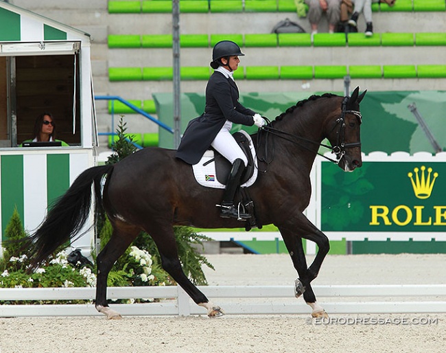 Denise Hallion and Wervelwind at the 2014 World Equestrian Games :: Photo © Astrid Appels