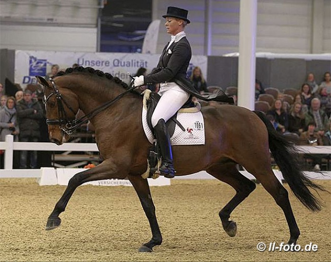Marion Wiebusch and Like a Diamond at the 2017 CDN Munster :: Photo © LL-foto